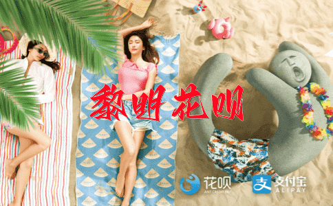 说一不二花呗